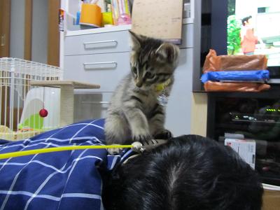 ファイル 105-1.jpg