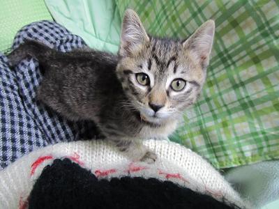 ファイル 105-2.jpg