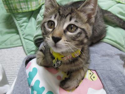 ファイル 105-3.jpg