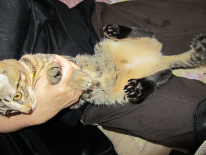 ファイル 123-1.jpg