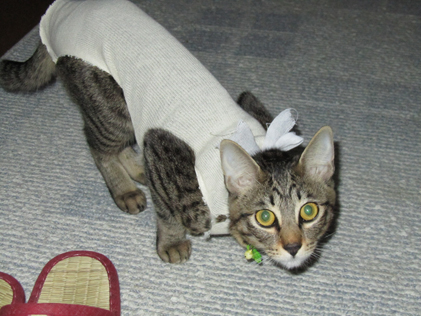 ファイル 123-3.jpg